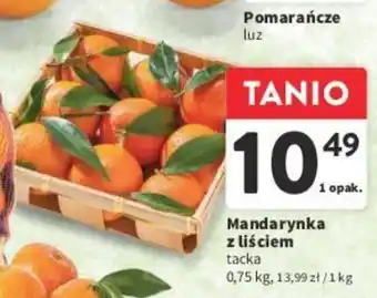 Intermarche Mandarynka z liściem 0,75 kg oferta