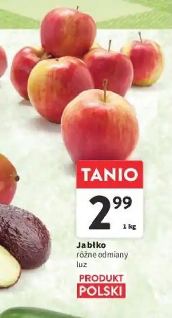 Intermarche Jabłko 1 kg oferta
