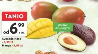 Intermarche Avocado Hass 1 szt. oferta