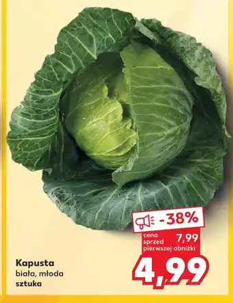 Kaufland Kapusta młoda oferta