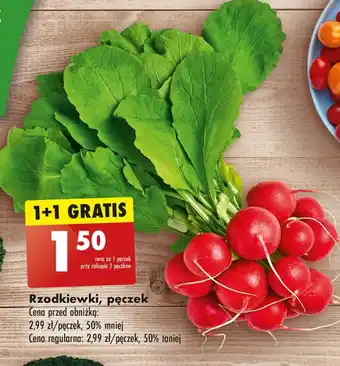 Biedronka Rzodkiewki oferta