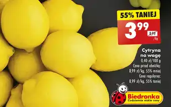 Biedronka Cytryna Biedronka oferta