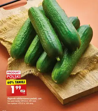 Biedronka Ogórek Polski oferta