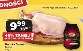 Netto Kaczka Drosed oferta
