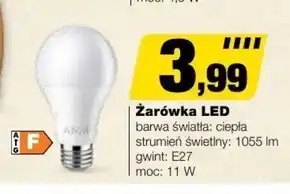 Bricomarche Żarówka Barwa oferta