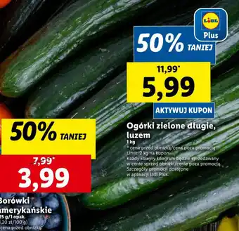 Lidl Ogórki zielone długie, luzem 1 kg oferta