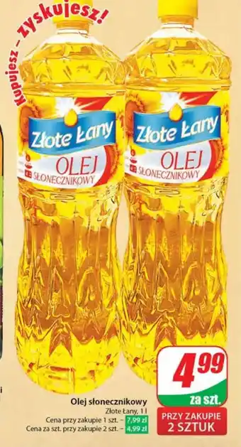 Dino Olej Złote łany oferta