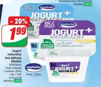 Dino Jogurt bez laktozy Maluta oferta