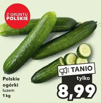 Kaufland Polskie ogórki 1 kg oferta
