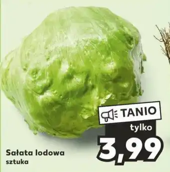 Kaufland Sałata lodowa szt. oferta