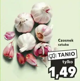 Kaufland Czosnek szt. oferta