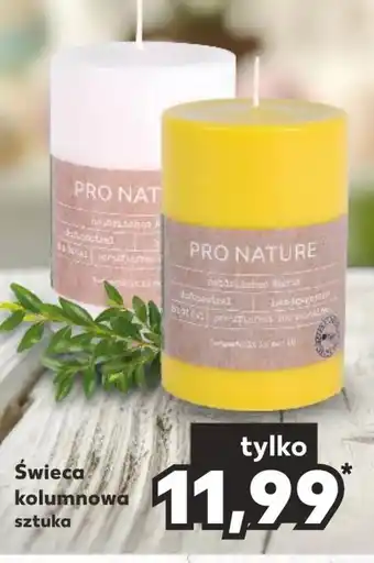 Kaufland Świeca oferta