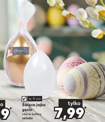 Kaufland Świeca oferta