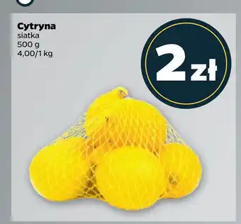Netto Cytryna oferta