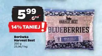 Netto Borówka Harvest Best oferta