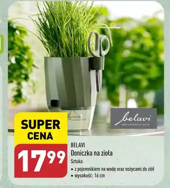 Doniczka Belavi