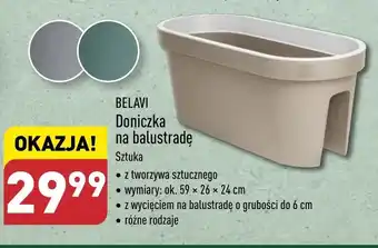 ALDI Doniczka Belavi oferta