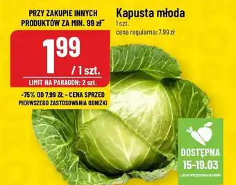 Polomarket Kapusta młoda oferta