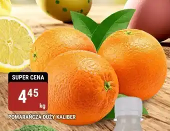 bi1 POMARAŃCZA DUŻY KALIBER 1 kg oferta