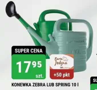 KONEWKA ZEBRA LUB SPRING 10 I