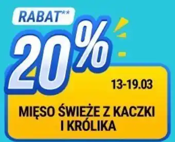 bi1 MIĘSO ŚWIEŻE Z KACZKI I KRÓLIKA oferta