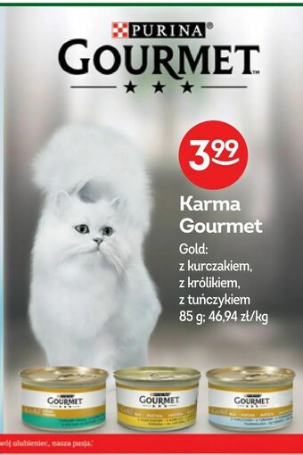 Żabka Karma Gourmet oferta