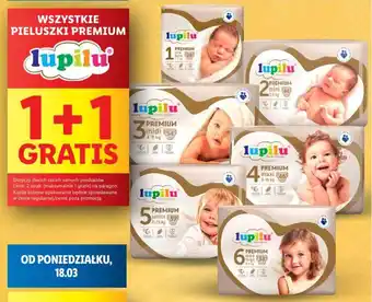 Lidl WSZYSTKIE PIELUSZKI PREMIUM lupilu oferta