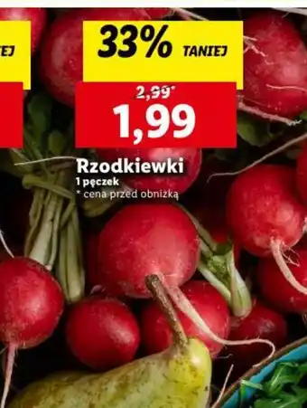 Lidl Rzodkiewki 1 pęczek oferta