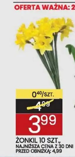 Wafelek ŻONKIL 10 SZT. oferta
