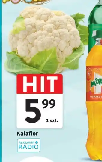 Intermarche Kalafior 1 szt. oferta