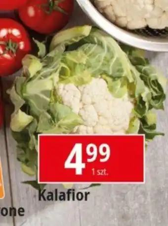 E.Leclerc Kalafior oferta