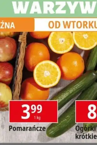 E.Leclerc Pomarańcze 1kg oferta