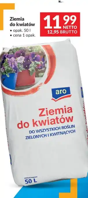 Makro Ziemia do kwiatów, 50 l oferta