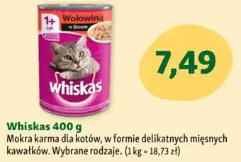 Maxi Zoo Whiskas 400 g Mokra karma dla kotów oferta