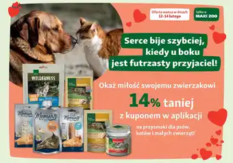 Maxi Zoo Przysmaki dla psów, kotów i małych zwierząt oferta