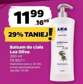 Netto Balsam do ciała Lea oferta