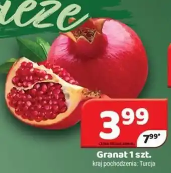 Delfin Granat 1 szt. oferta