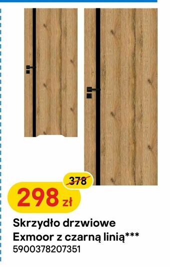 Castorama Skrzydło drzwiowe Exmoor z czarną linią oferta