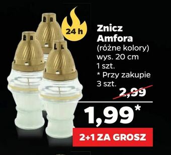 Netto Znicz Amfora oferta