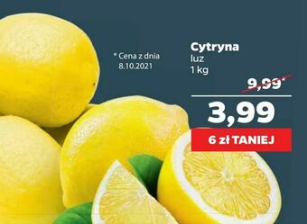 Netto Cytryna oferta