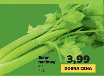 Netto Seler naciowy oferta