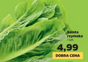 Netto Sałata rzymska oferta
