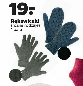Netto Rękawiczki oferta