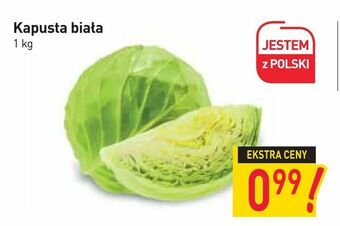 Stokrotka Kapusta biała oferta