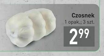 Stokrotka Czosnek oferta