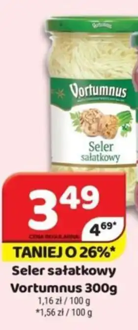 Delfin Seler sałatkowy Vortumnus 300g oferta