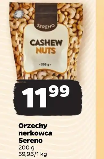 Netto Orzechy nerkowca oferta