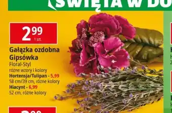 E.Leclerc Gałązka ozdobna Gipsówka 1 szt. oferta