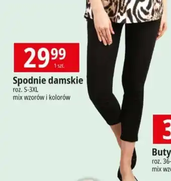 E.Leclerc Spodnie damskie 1 szt. oferta