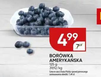 Chata Polska BORÓWKA AMERYKAŃSKA, 125 g oferta